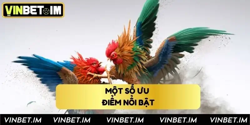 Một số ưu điểm nổi bật của đá gà Vinbet Một số ưu điểm nổi bật của đá gà Vinbet