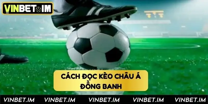 Kèo đồng banh cực hấp dẫn Kèo đồng banh cực hấp dẫn