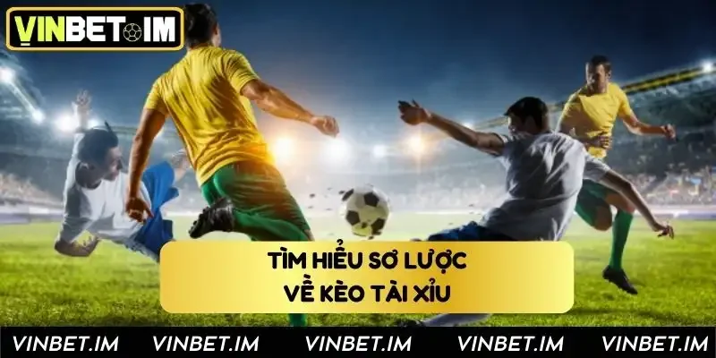 Tìm hiểu sơ lược về kèo tài xỉu Vinbet Tìm hiểu sơ lược về kèo tài xỉu Vinbet