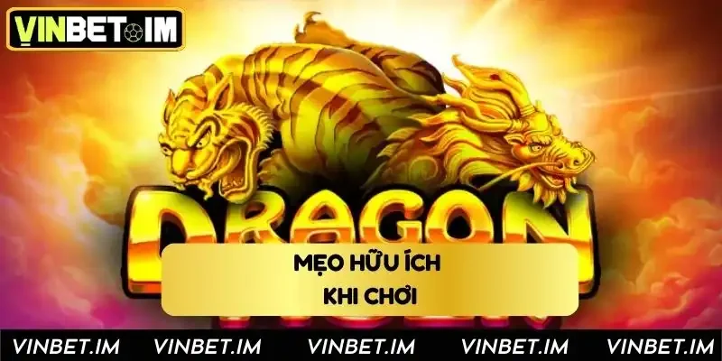 Mẹo hữu ích khi tham gia chơi rồng hổ tại Vinbet Mẹo hữu ích khi tham gia chơi rồng hổ tại Vinbet