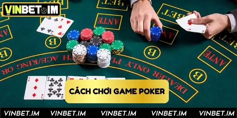 Từng bước tham gia cược dành cho hội viên Từng bước tham gia cược dành cho hội viên