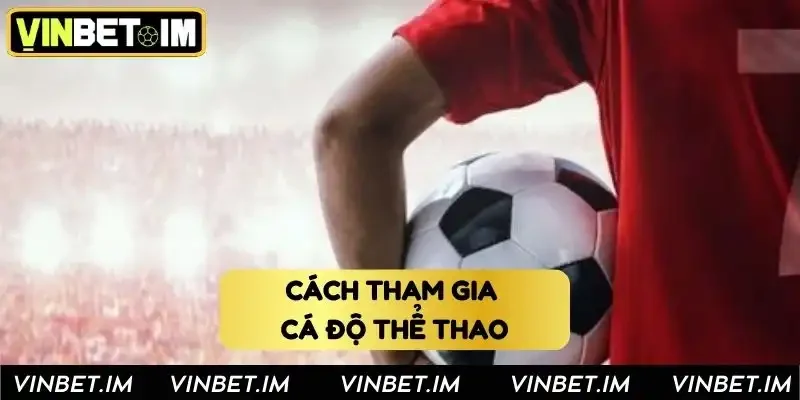 Từng bước tham gia cá độ chi tiết dành cho game thủ Từng bước tham gia cá độ chi tiết dành cho game thủ