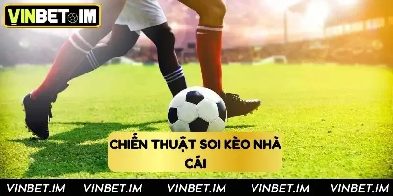 Kèo Nhà Cái - Cách Soi Cầu Chuẩn Chỉnh Từ Cao Thủ Vinbet Chiến thuật soi kèo tại nhà cái Vinbet