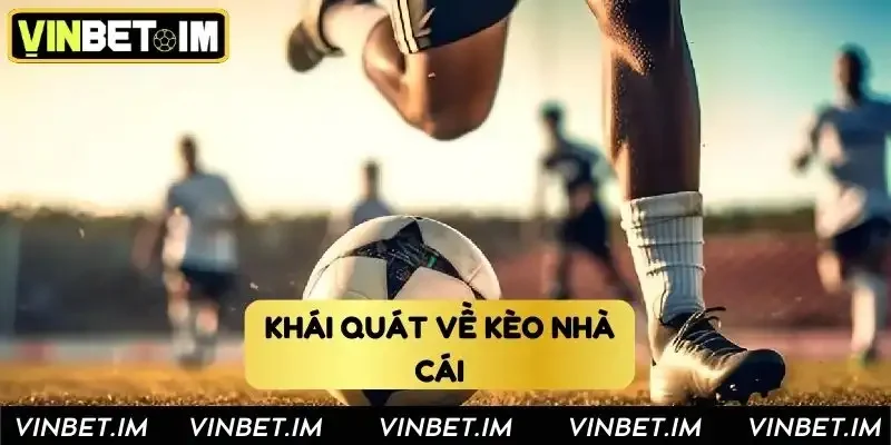 Khái quát về cách soi cầu kèo nhà cái Vinbet Khái quát về cách soi cầu kèo nhà cái Vinbet