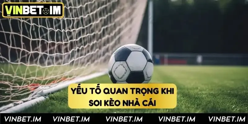 Yếu tố quan trọng khi soi cầu tại Vinbet Yếu tố quan trọng khi soi cầu tại Vinbet