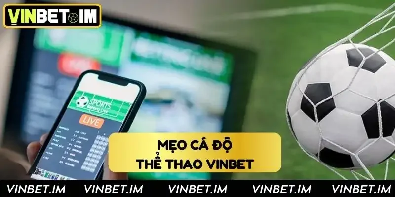 Mẹo chơi cá độ thắng to cho dân cược Mẹo chơi cá độ thắng to cho dân cược