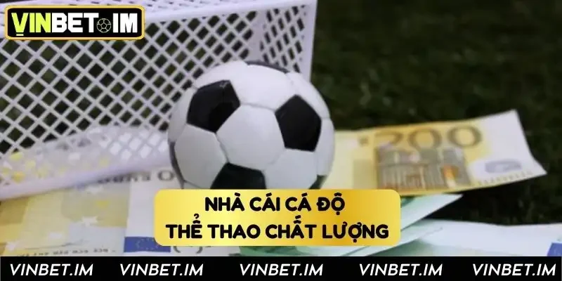 Khám phá Vinbet - nhà cái cá độ thể thao chất lượng Khám phá Vinbet - nhà cái cá độ thể thao chất lượng