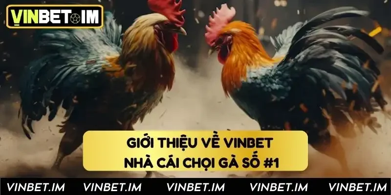 Giới thiệu về Vinbet - Nhà cái chọi gà số #1 Giới thiệu về Vinbet - Nhà cái chọi gà số #1