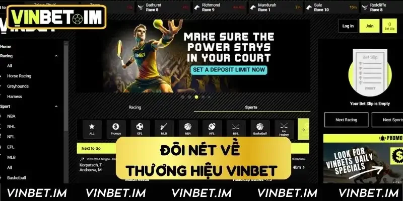 Giới thiệu sơ qua thương hiệu giải trí Vinbet